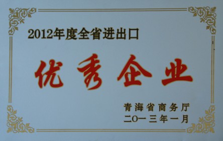 2012年度全身進出口優(yōu)秀企業(yè)