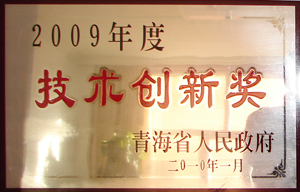 2009年度技術(shù)創(chuàng)新獎(jiǎng)